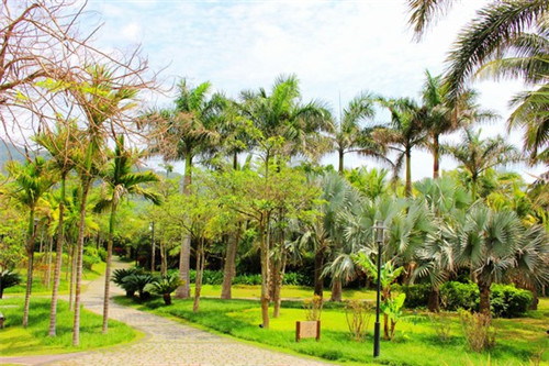 七十二街排骨饭