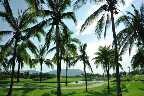 广州日本大使馆指定送签旅行社（广州日本大使馆送签旅行社名单公示）