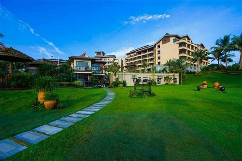 正宗小米辣苗（小米辣的苗长什么样）