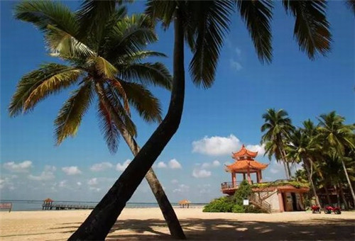 秋天天津北京哪里好玩儿（秋天的天津哪里最美）