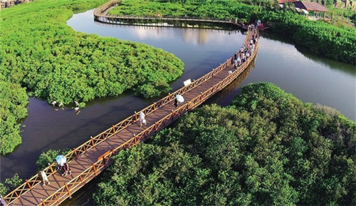 龙井市钓箱升降脚加盟创业选择什么项目还能做