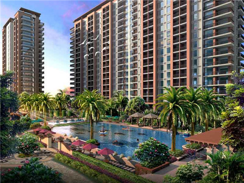 大悟县插排加盟创业选择什么项目还能做